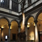 Federico Gori, Di fragilità e potenza, 2013