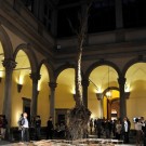 Federico Gori, Di fragilità e potenza, 2013